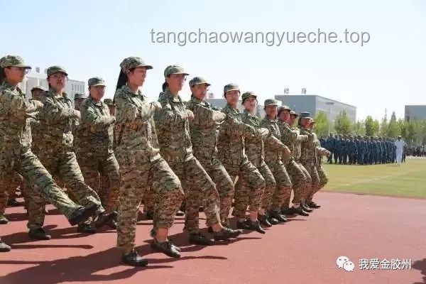 福建舰出镜展现子弟兵硬核“赛龙舟”：军事训练与文化传承的创新融合